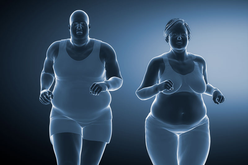 Obezite Beslenme İlişkisi